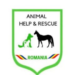 Ion Dobre Animal Rescue